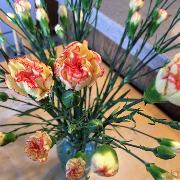 LND_1FDD281B-F3E5-4D22-9BDE-61FF39E5919F